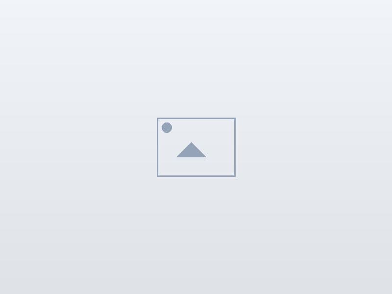 QA — ტესტ ტრანსპორტი აუდიტისთვის